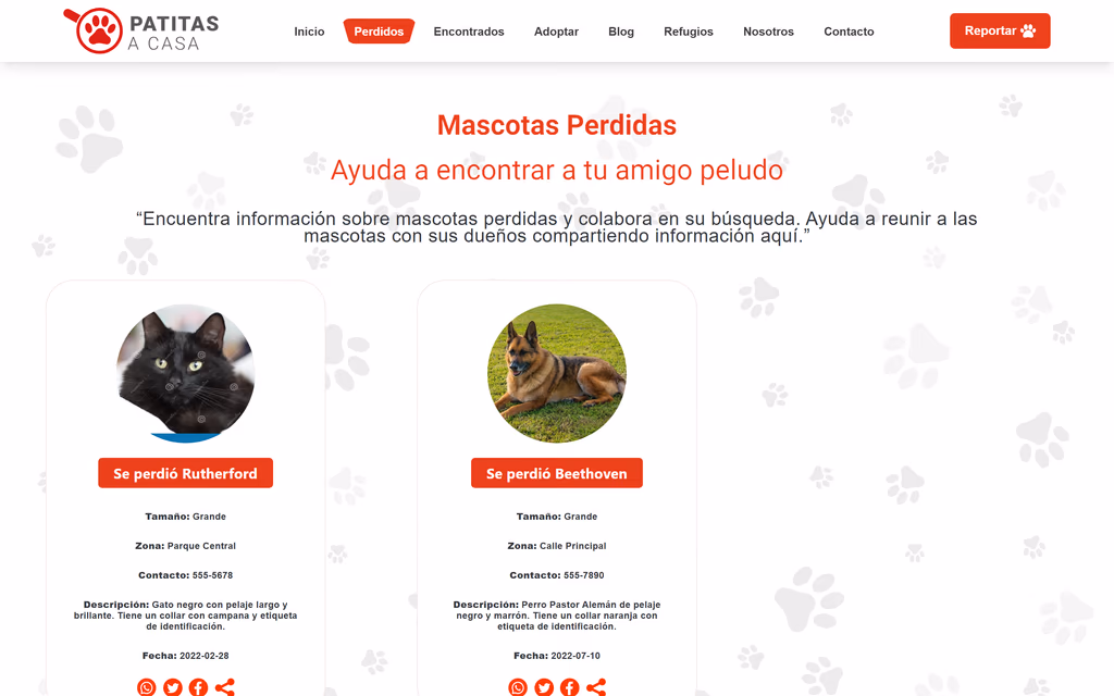 'Mascotas Perdidas' page: lost-pet cards with size, area, contact, description and date